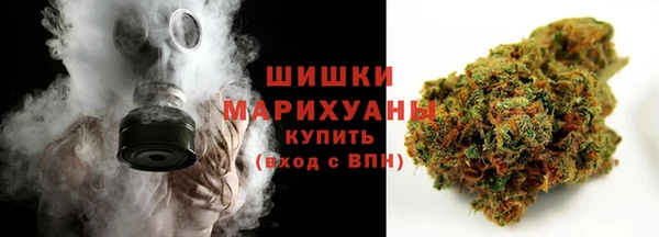 прущие грибы Новокубанск