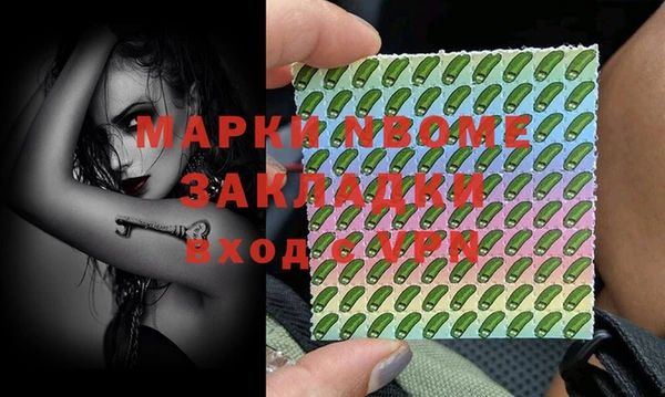 прущие грибы Новокубанск