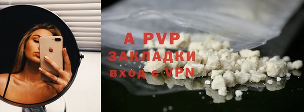 прущие грибы Новокубанск