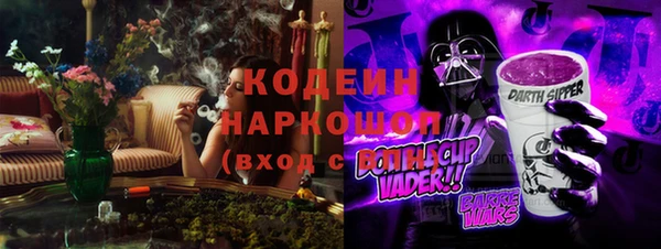прущие грибы Новокубанск