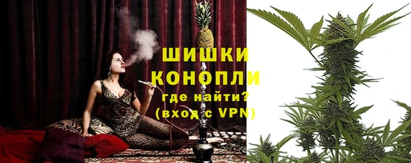 мдма Новодвинск