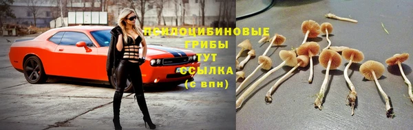мдма Новодвинск