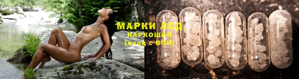 прущие грибы Новокубанск