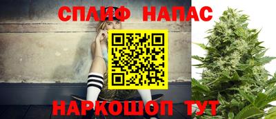 прущие грибы Ипатово