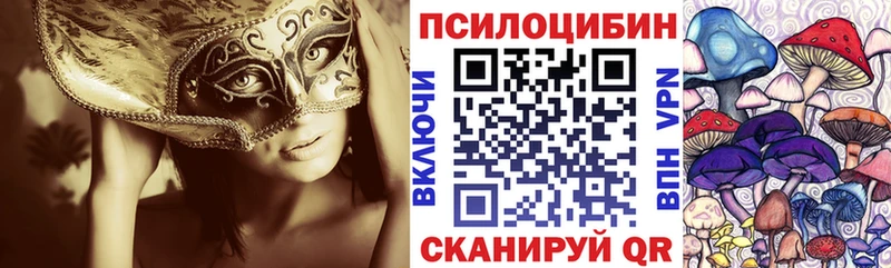 это формула  Краснознаменск  Галлюциногенные грибы прущие грибы 