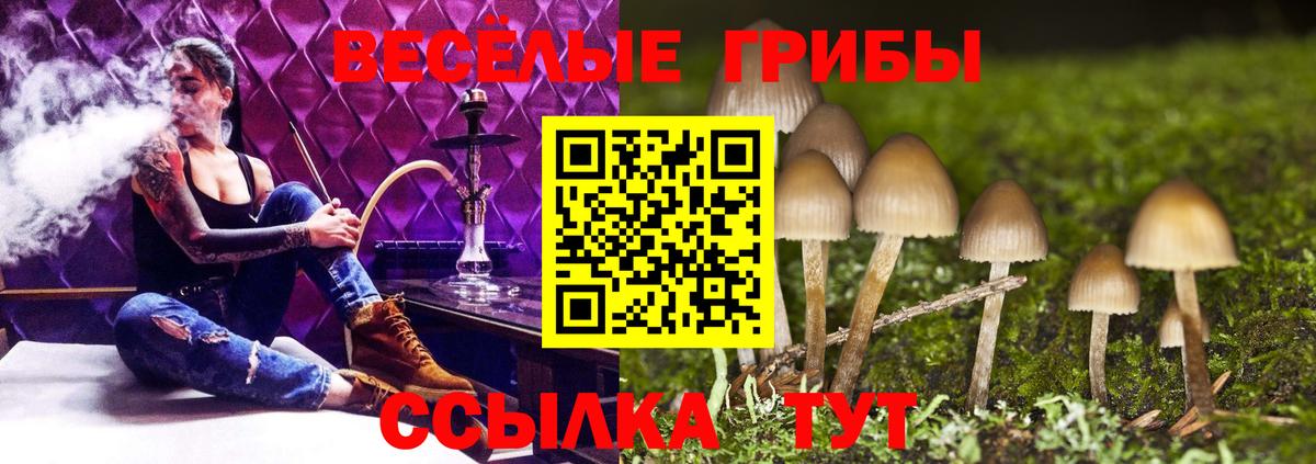 Галлюциногенные грибы Cubensis Краснознаменск